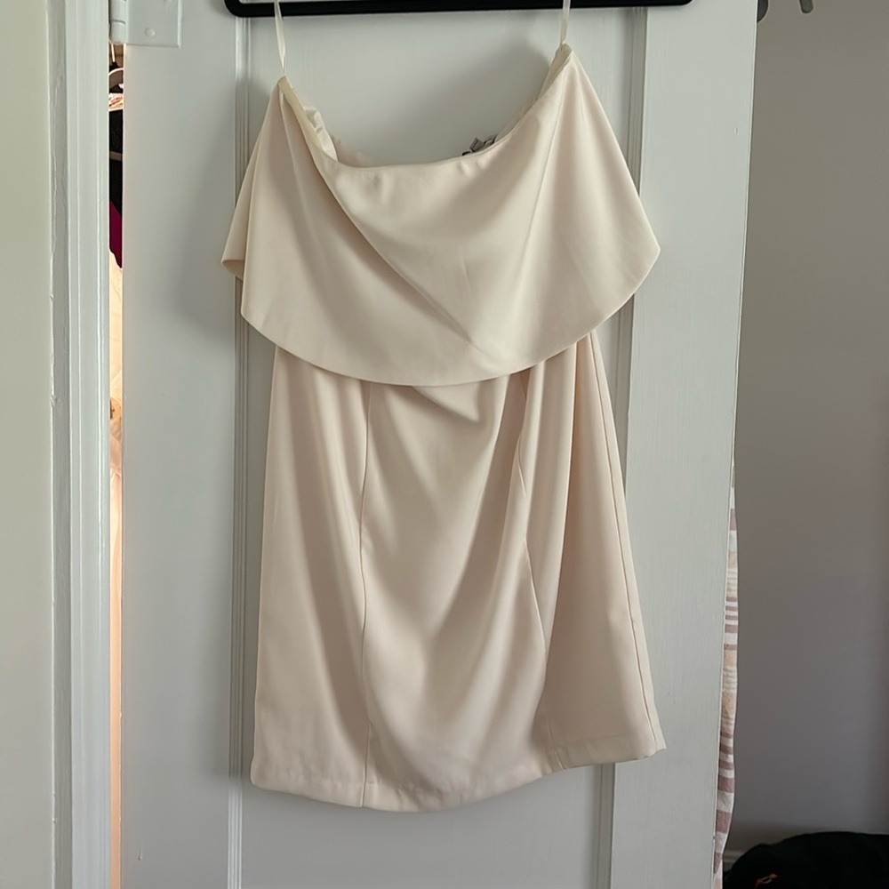 Strapless Naked Zebra Dress